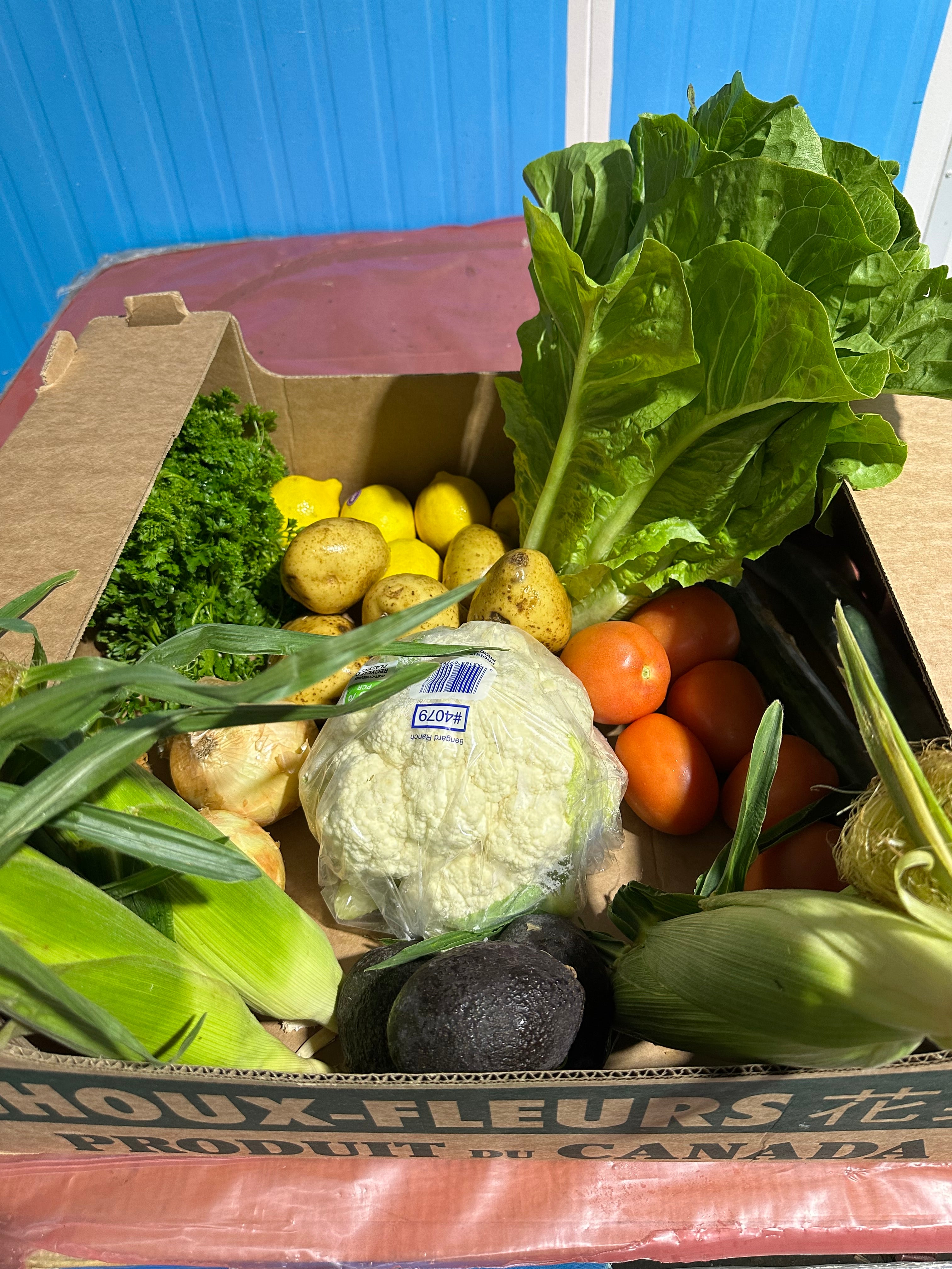 Freshly Vegetable Box