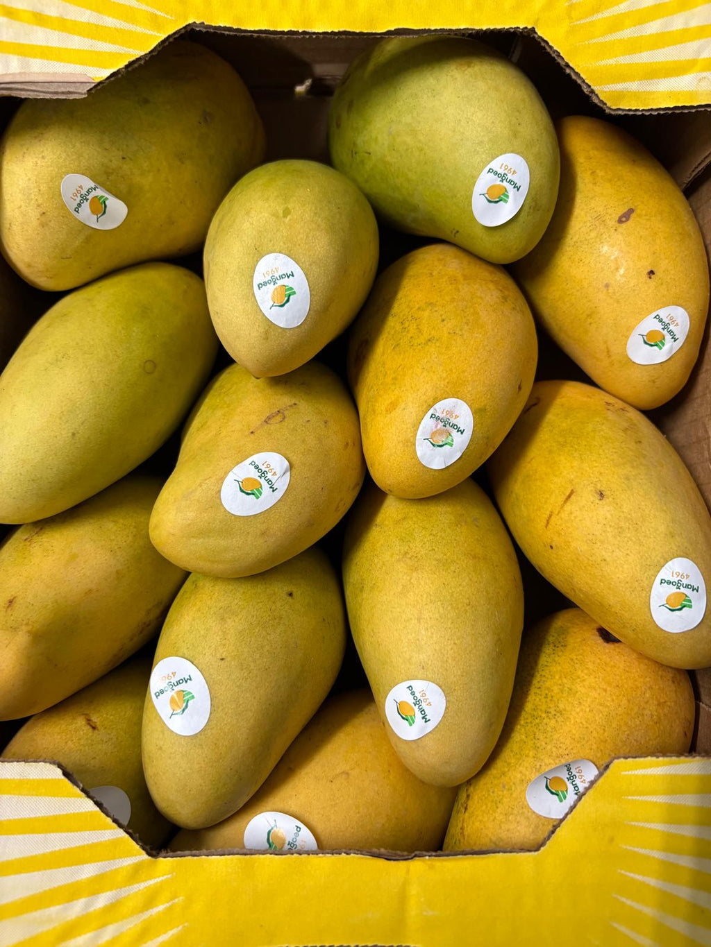 Full Case of Mangos (14 pcs)