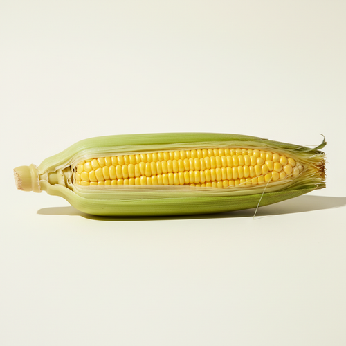 Fresh corn