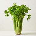 Fresh celery