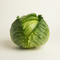 Fresh green cabbage
