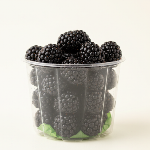 Fresh blackberries
